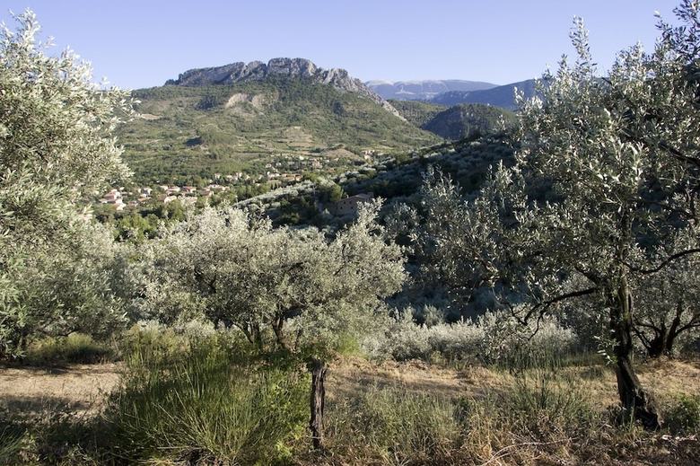 Apartamento Le Clo�tre Des Dominicains