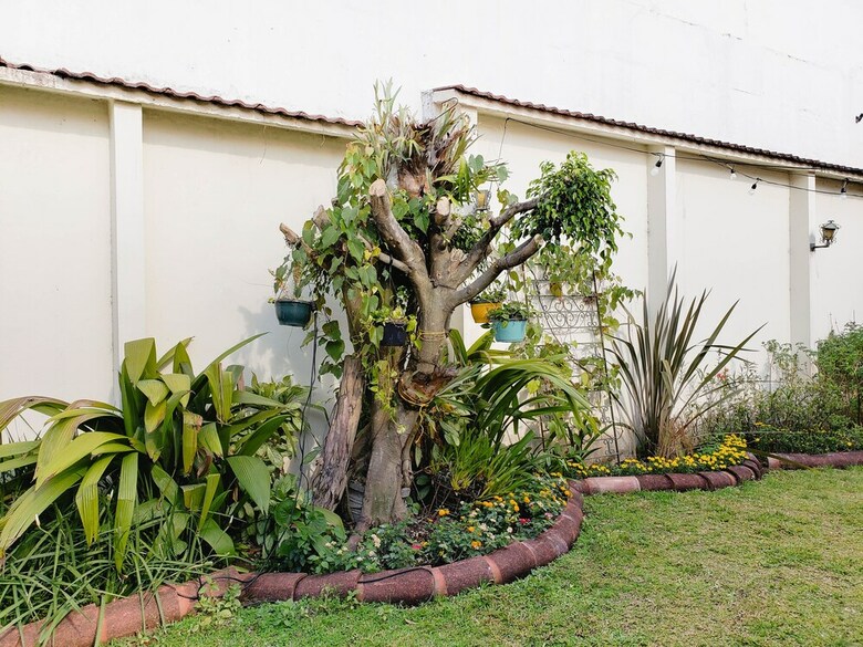 Hostal Dscvr - The Garden San Jos�
