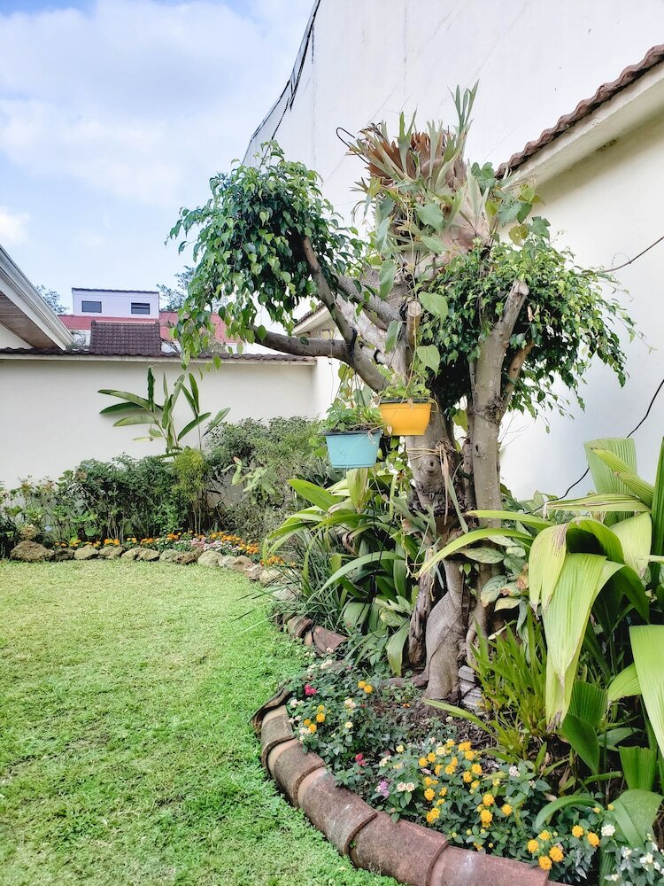 Hostal Dscvr - The Garden San Jos�