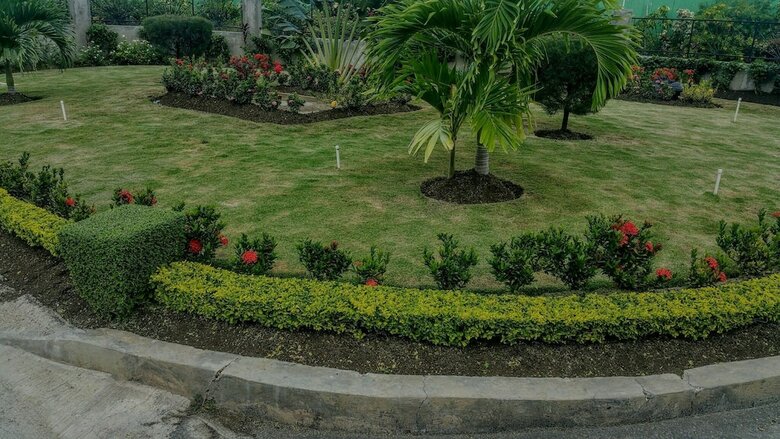 Fern Court Apartment With Oceanic View