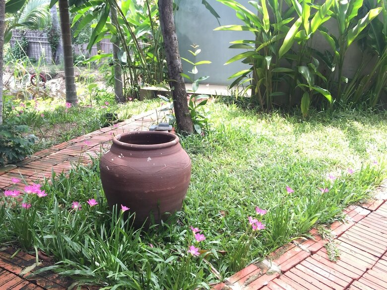 Hotel Water Palm Villas