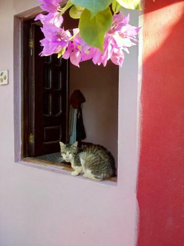 Hostal S�tio Maleleo