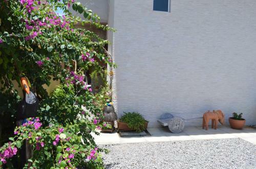 Apartamento Flat San Jorge