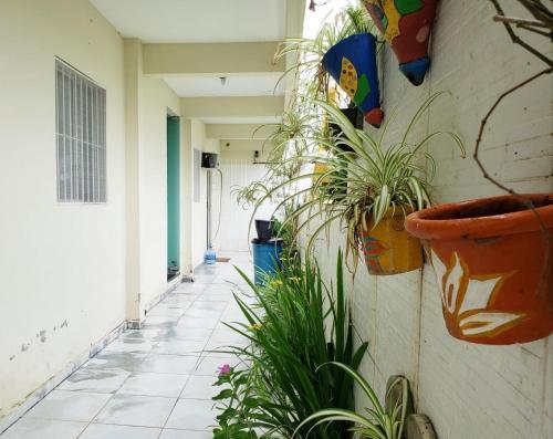 Apartamento Solar Teixeira