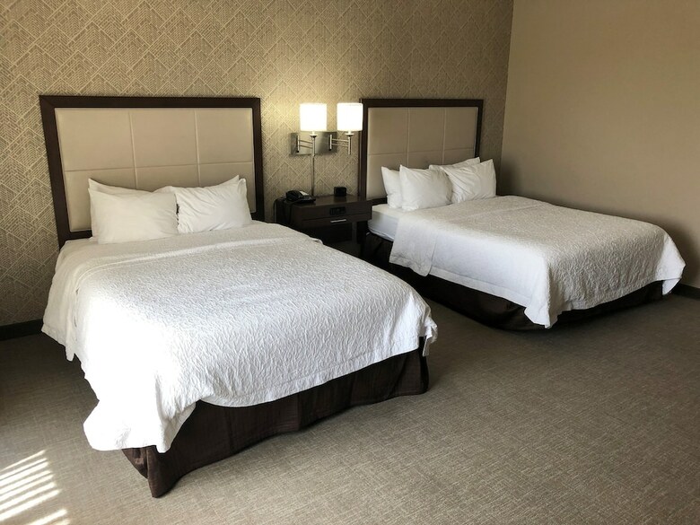 Hotel Hampton Inn & Suites Tampa Busch Gardens Area
