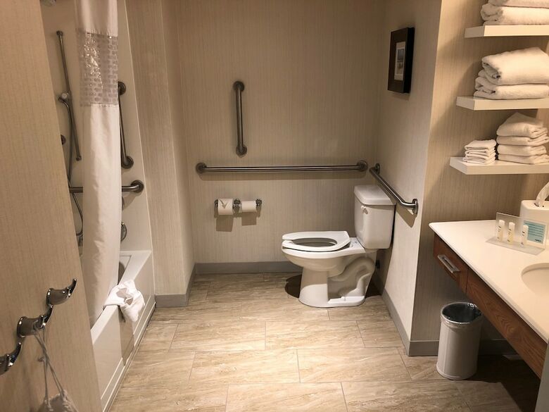 Hotel Hampton Inn & Suites Tampa Busch Gardens Area