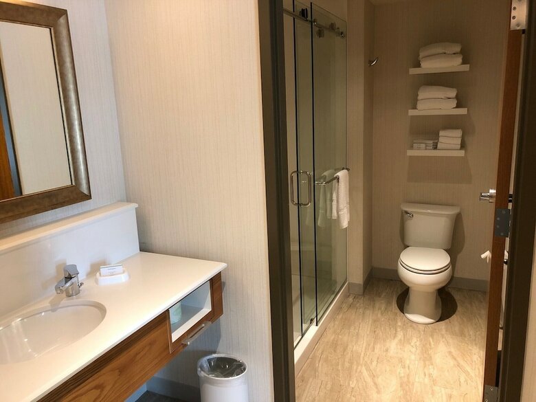 Hotel Hampton Inn & Suites Tampa Busch Gardens Area
