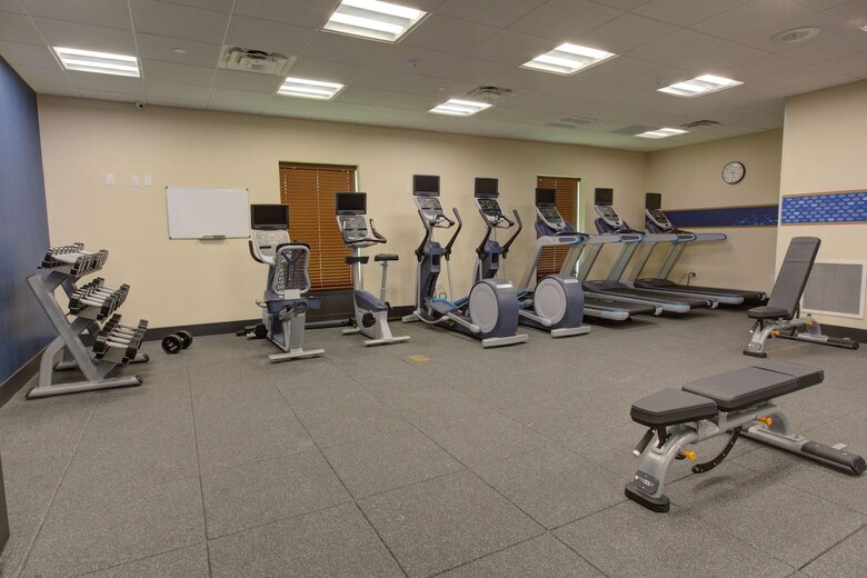 Hotel Hampton Inn & Suites Tampa Busch Gardens Area