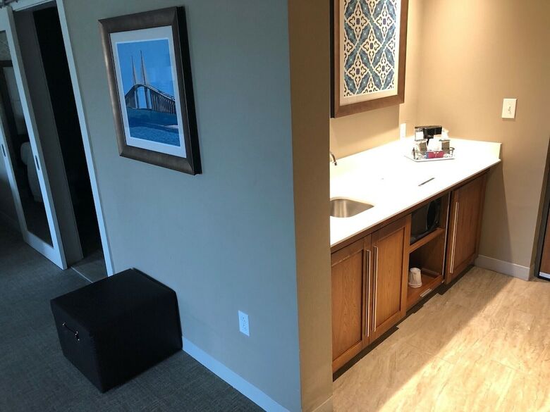 Hotel Hampton Inn & Suites Tampa Busch Gardens Area