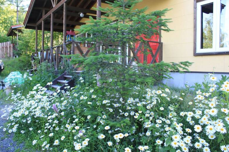 Villa Tocotoco House