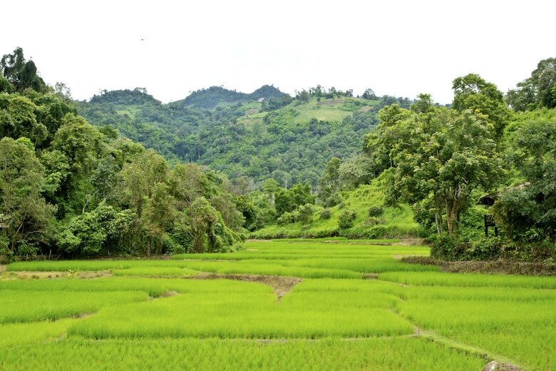 Hotel Hmong Hilltribe Lodge