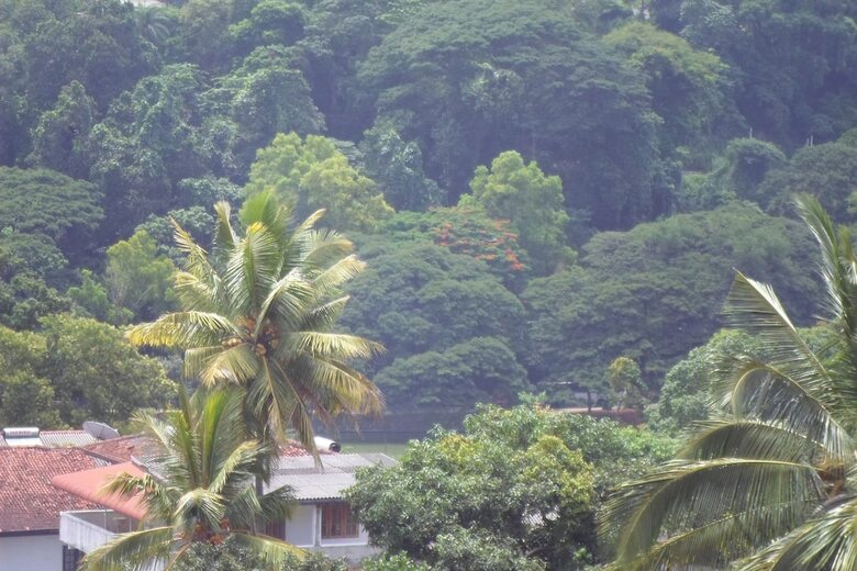 King Of Kandy Hotel