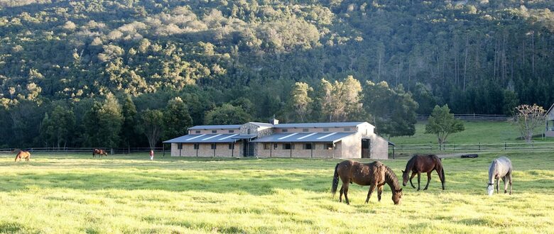 Agroturismo Swartvlei Equestrian Estate