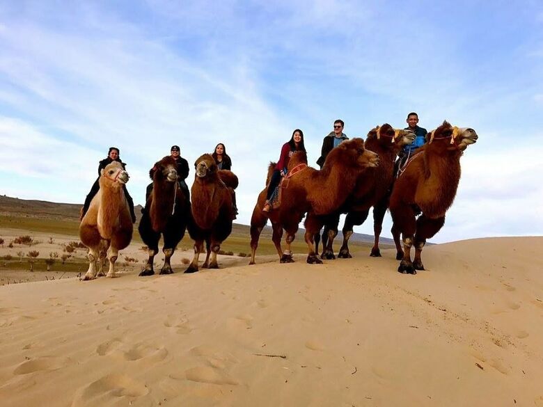 Hotel Travel Mongolia Guesthouse