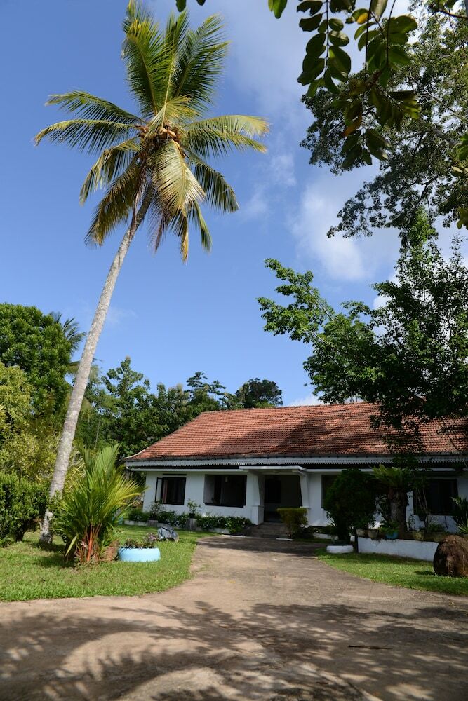 Hotel Maggie Garden Hostel
