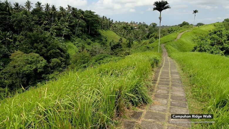 Hotel Zen Premium Ubud Bisma 3