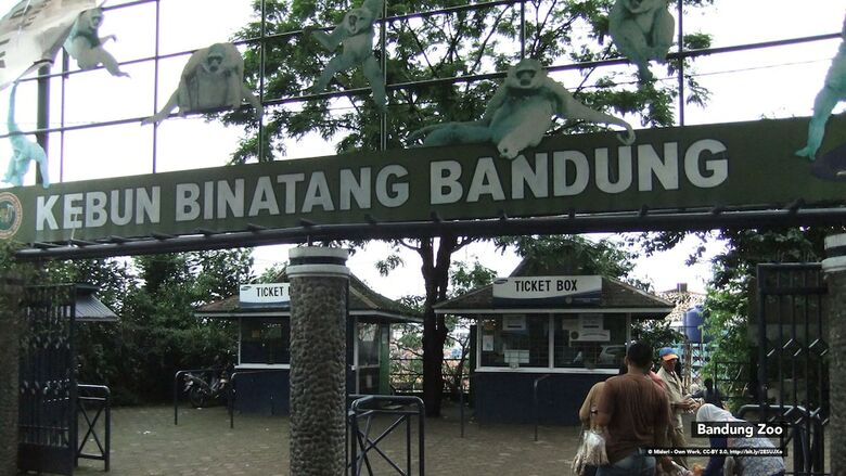 Hotel Zen Rooms Dago
