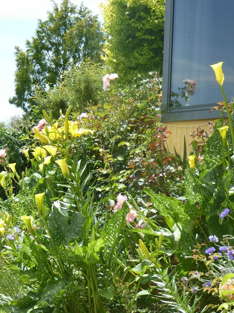 Hazelwood Mapua Bed And Breakfast
