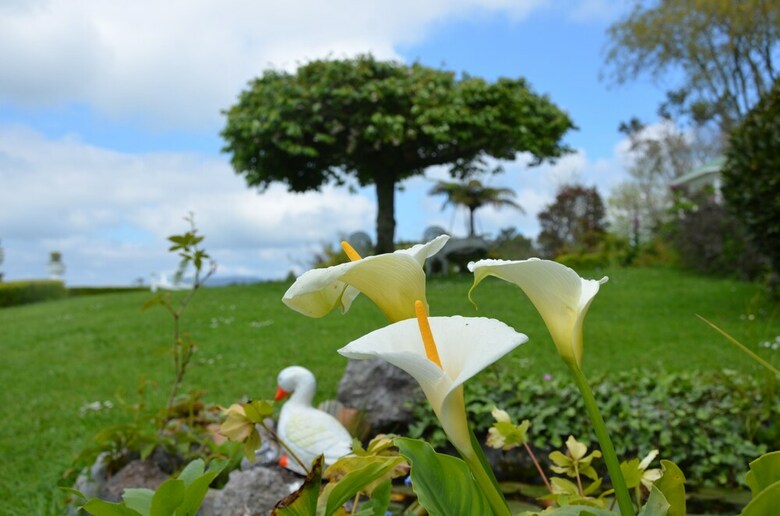 Bed & Breakfast Country Villa Estate