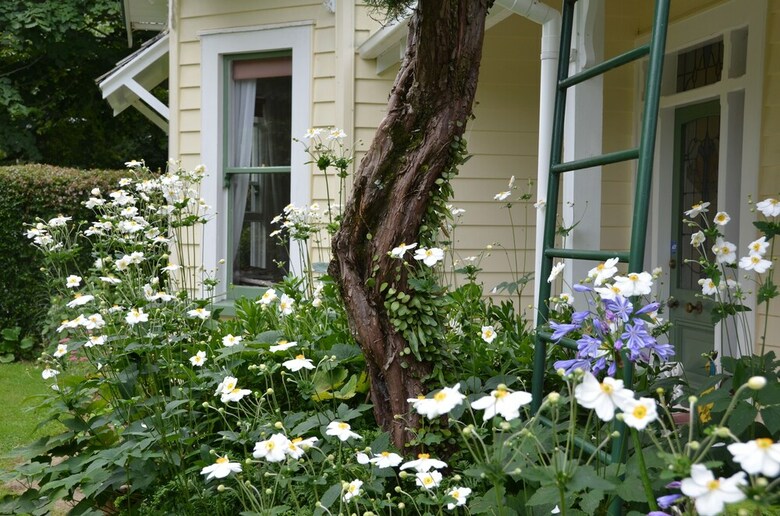 Bed & Breakfast Country Villa Estate