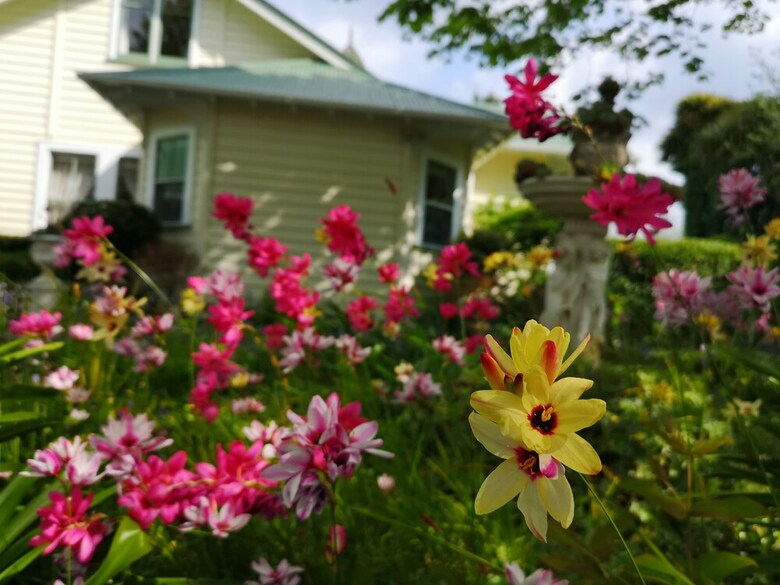 Bed & Breakfast Country Villa Estate