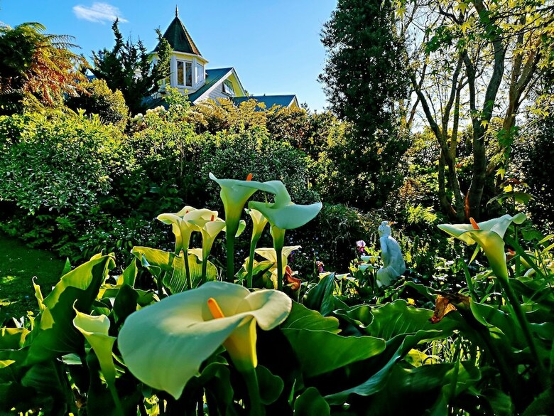 Bed & Breakfast Country Villa Estate