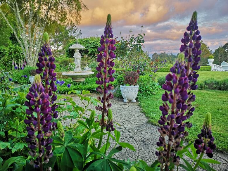Bed & Breakfast Country Villa Estate