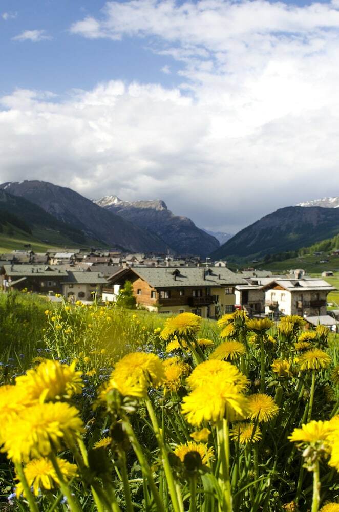 Chalet Rosita