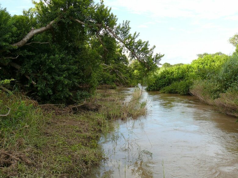 Amanzimloti Riverside Bush Camp