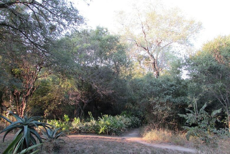 Amanzimloti Riverside Bush Camp
