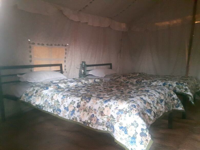 Savi Camps