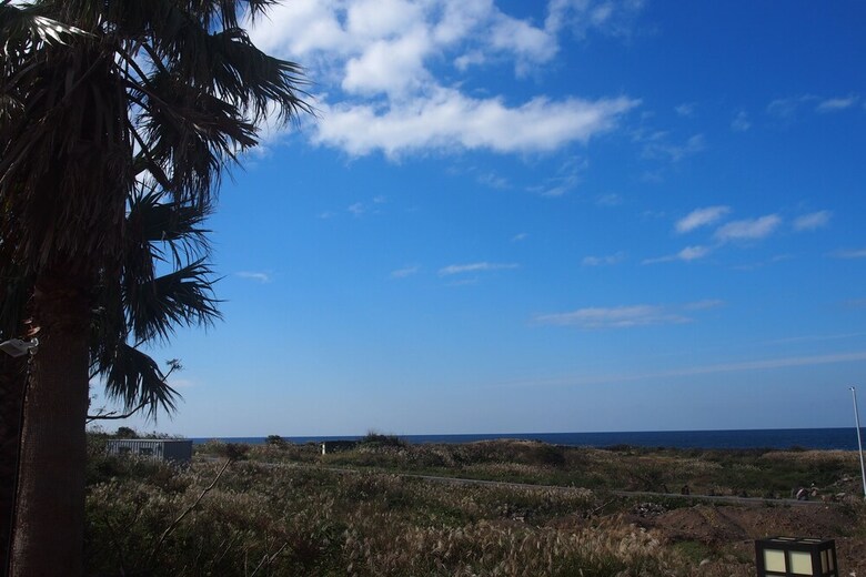 Morning Beach Pension