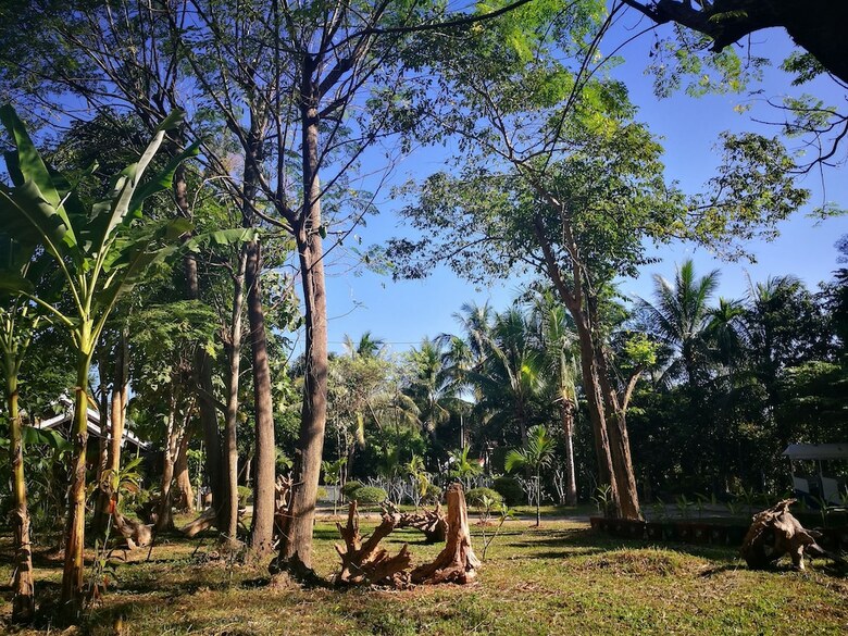 Hotel Luang Prabang Paradise Resort