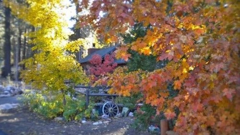 Posada Eagles Nest B&B And Cottage Suites