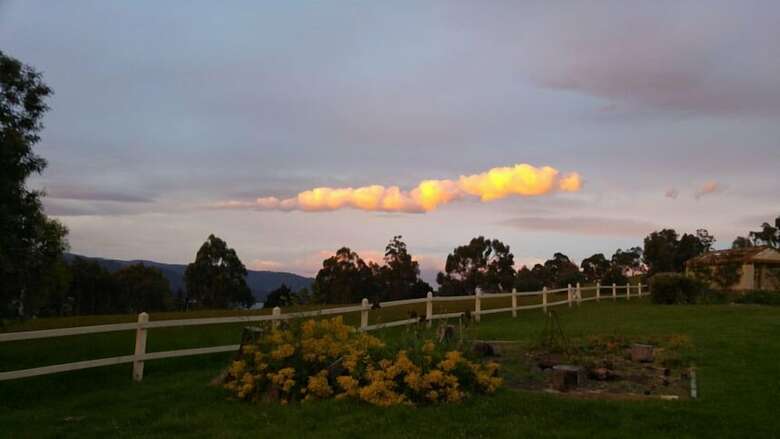 Ambience On Huon Bed And Breakfast