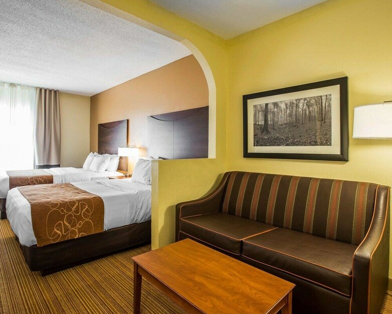 Hotel Comfort Suites Anderson