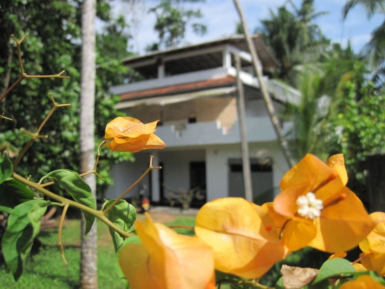 Hotel Jungleside House