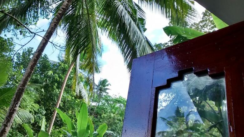 Hotel Jungleside House
