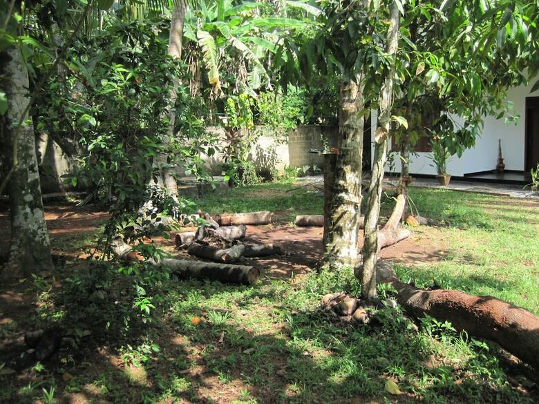 Hotel Jungleside House