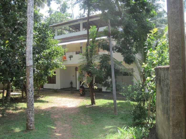 Hotel Jungleside House