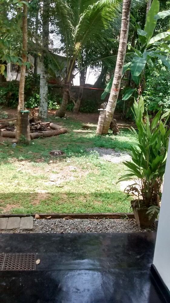 Hotel Jungleside House