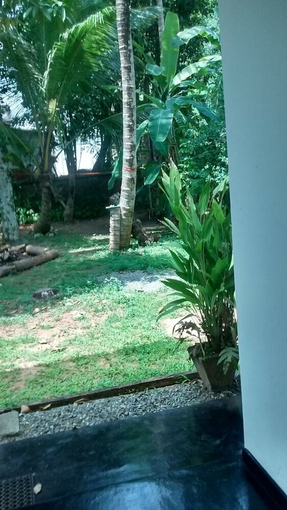 Hotel Jungleside House