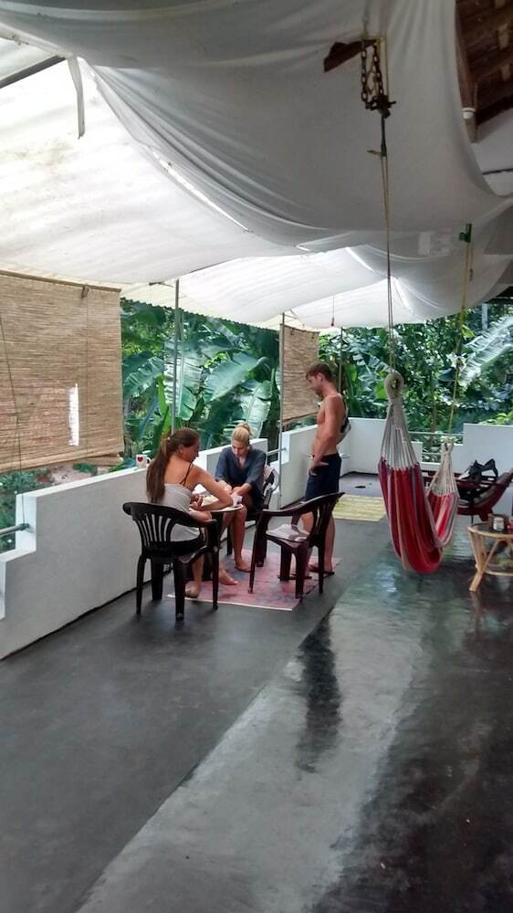 Hotel Jungleside House