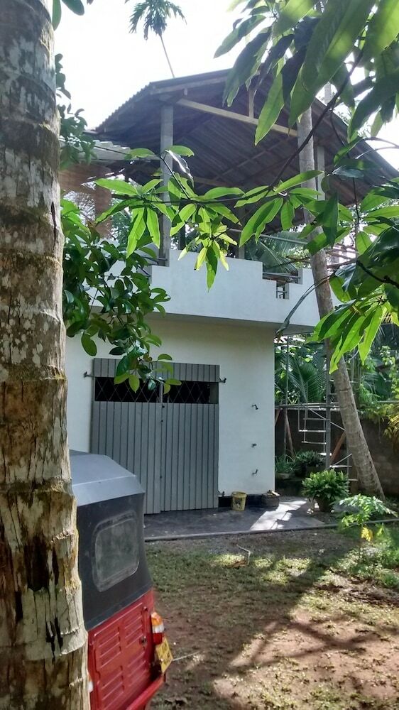 Hotel Jungleside House
