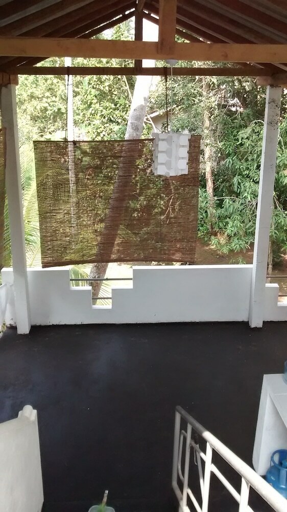 Hotel Jungleside House