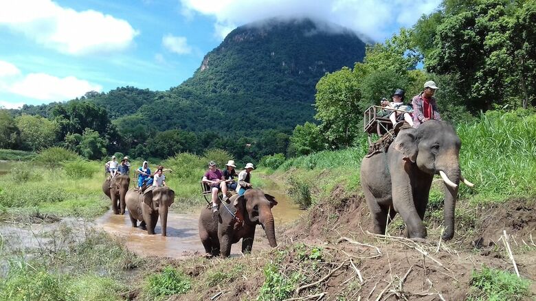 Hotel Mahout Resort