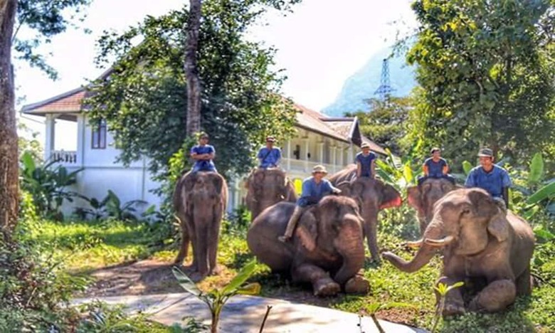 Hotel Mahout Resort