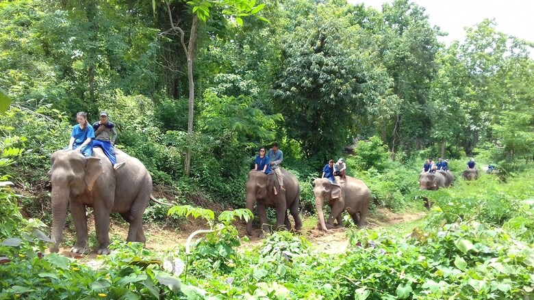 Mahout Hotel