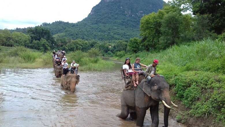 Mahout Hotel