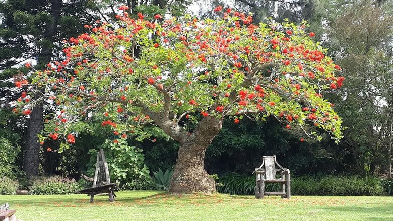 Hotel Marula Lodge Guesthouse